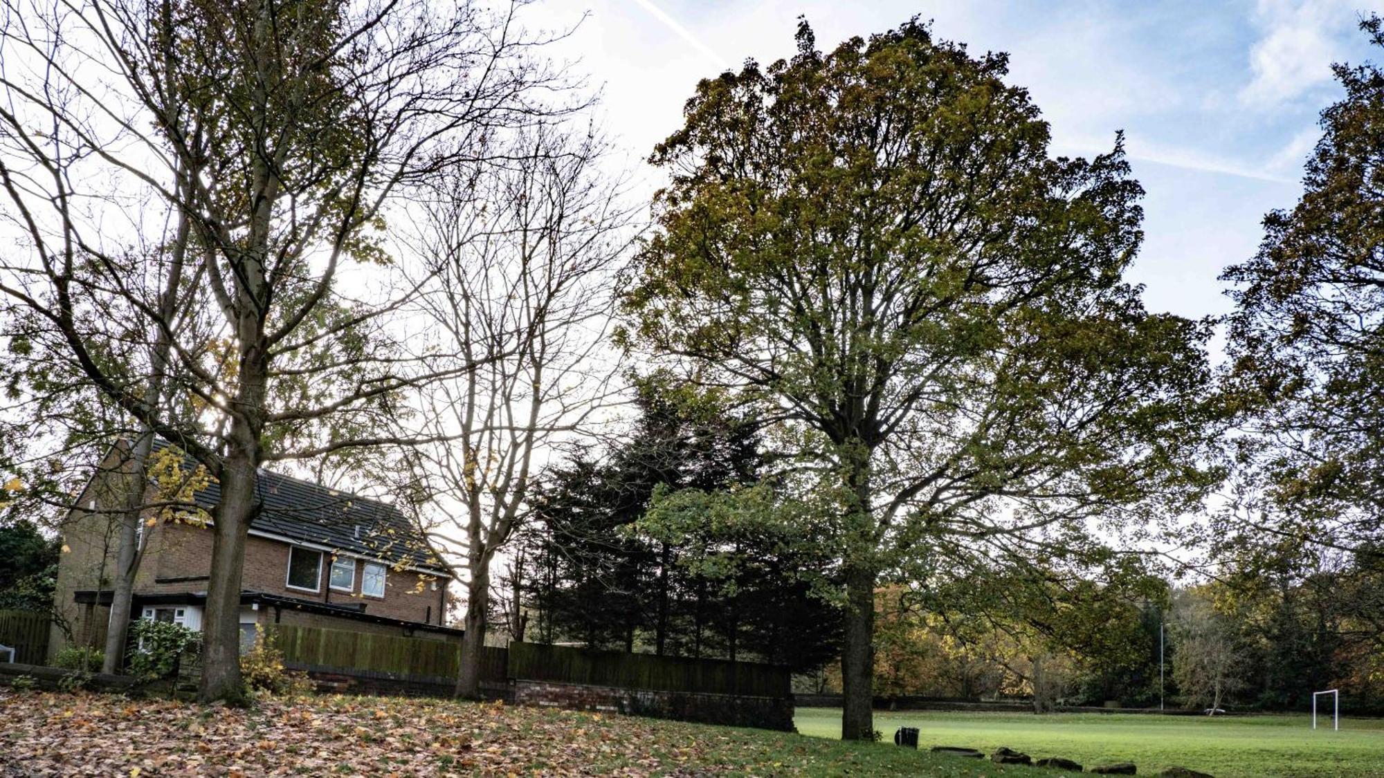 Cross Lane Cottage Pudsey Exterior foto